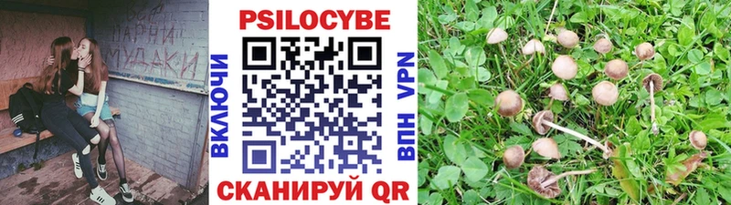 Псилоцибиновые грибы мицелий  цены   Хвалынск 